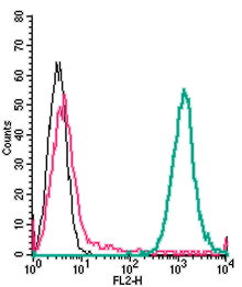 APR-106-PE Anti-P2Y6 Receptor (extracellular)-PE Antibody