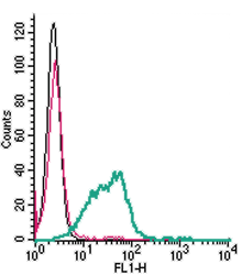 ANT-065 Anti-CD39 (extracellular) Antibody