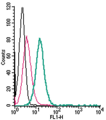 AGR-043-PE Anti-GPR65 (TDAG8) (extracellular)-PE Antibody