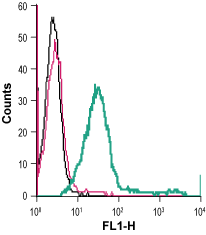 ANT-008-F Anti-Nogo Receptor (extracellular)-FITC Antibody